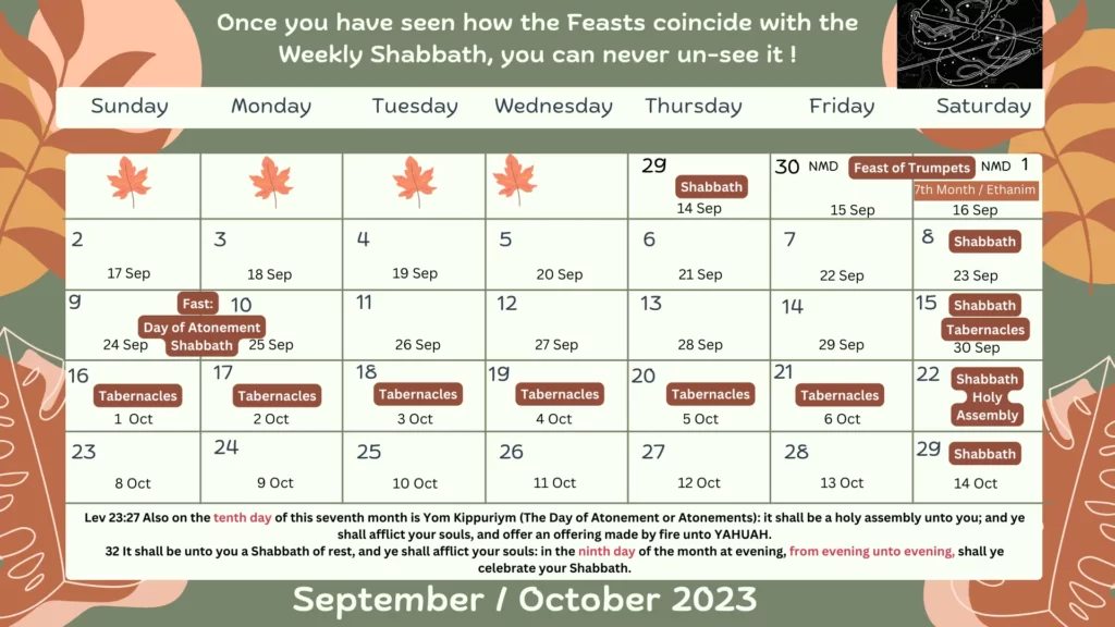 September _ October 2023