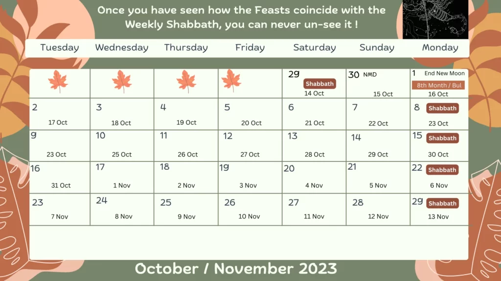 October _ November 2023