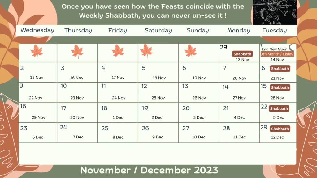 November _ December 2023