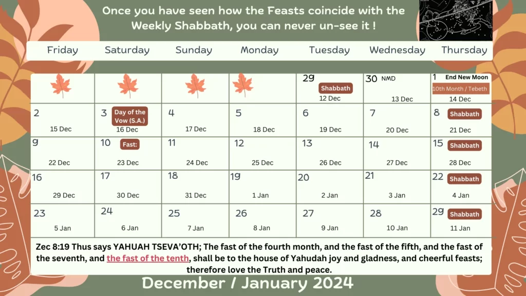 December _ January 2024