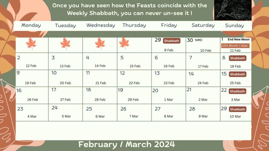 February _ March 2024