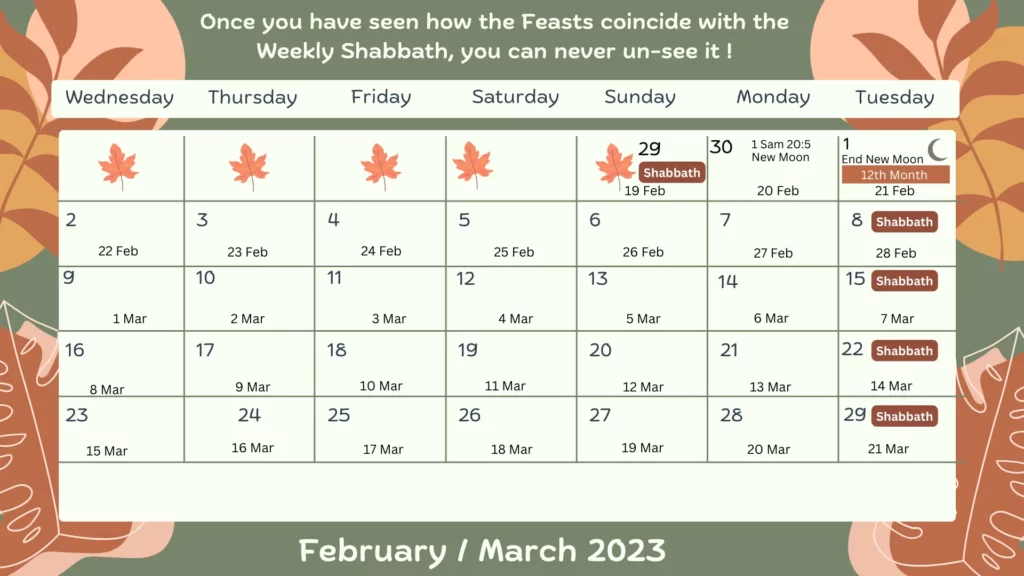 February _ March 2023