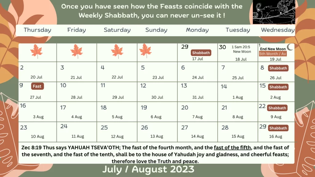 July _ August 2023